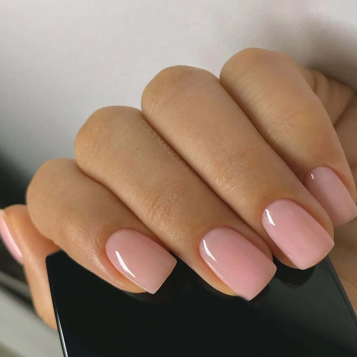 Clear Neutral Tone Press On Nails
