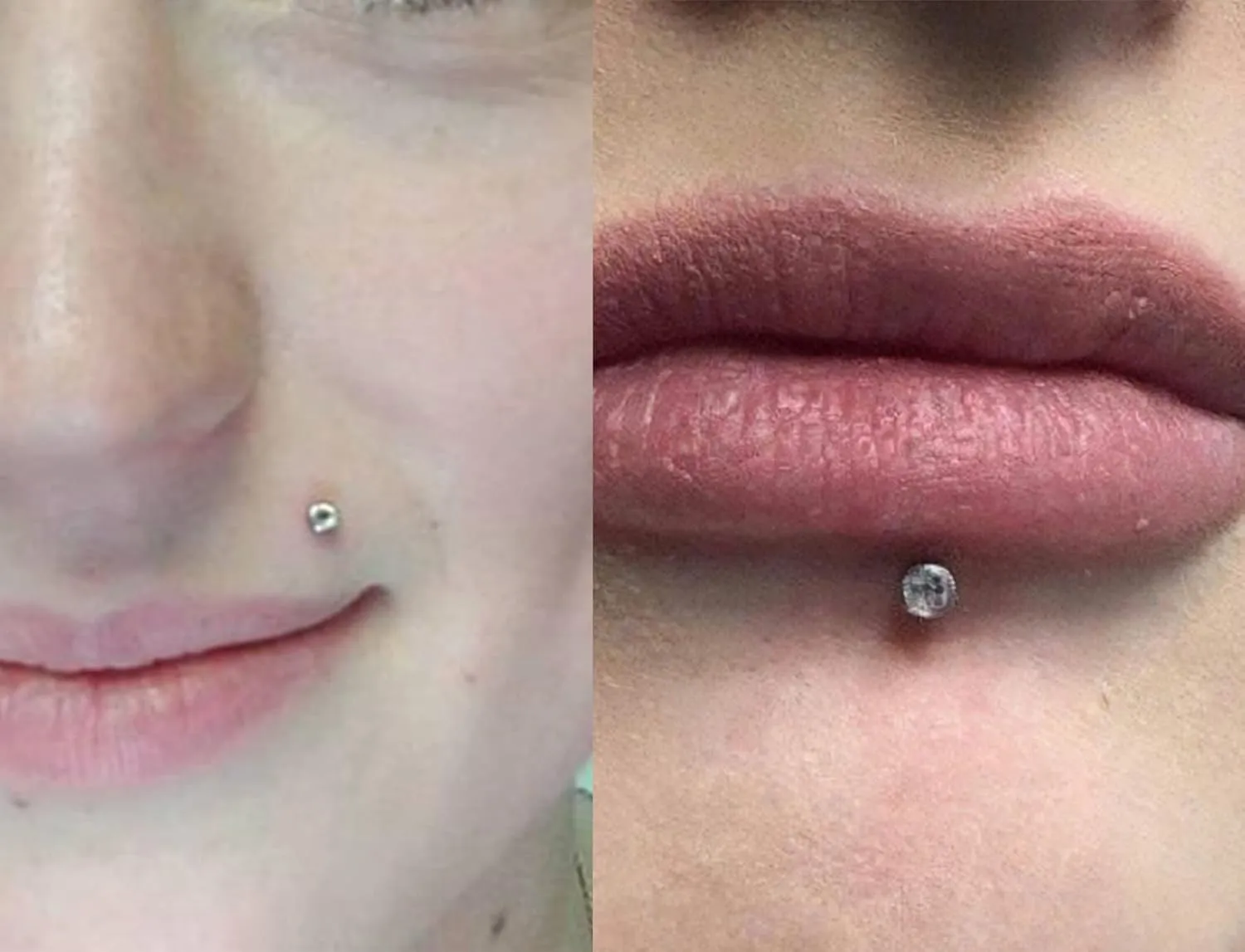 MODRSA Tragus & Helix Piercing Earrings - Flat Back, Forward Helix, Cartilage & Tragus Jewelry