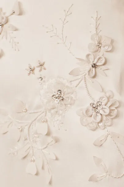 Sachin & Babi Diana Gown