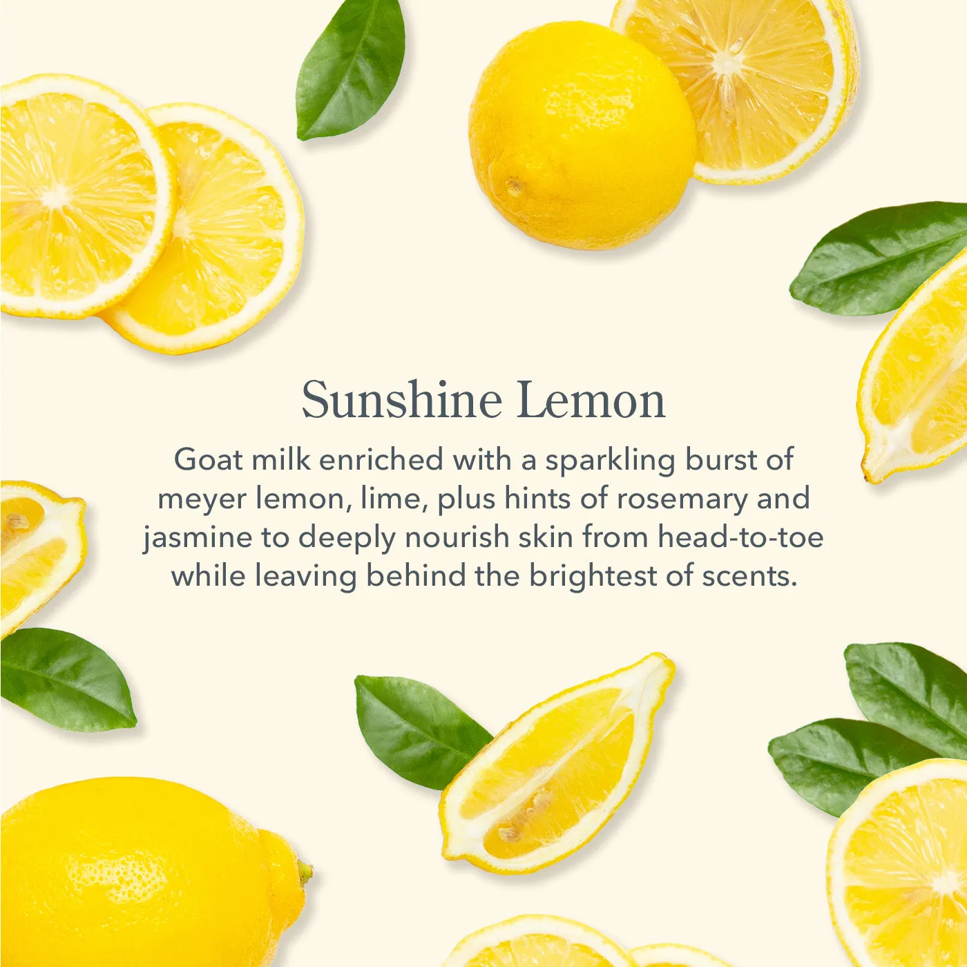 Yellow Brick Road Sunshine Lemon Bodycare Gift Set